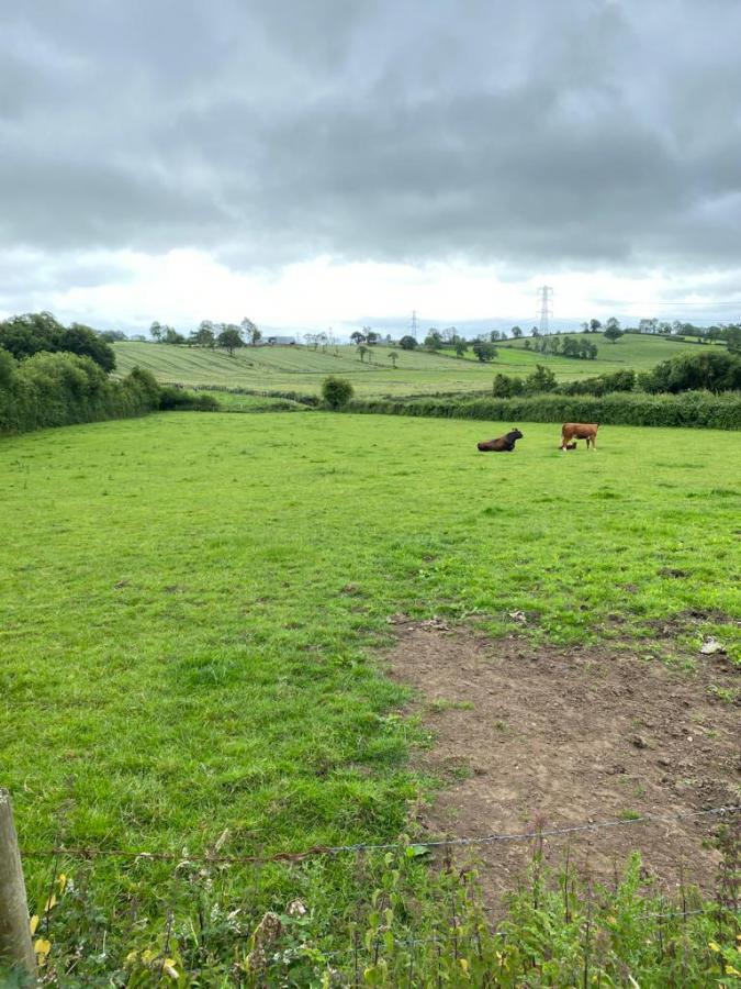 113 Summerisland Road