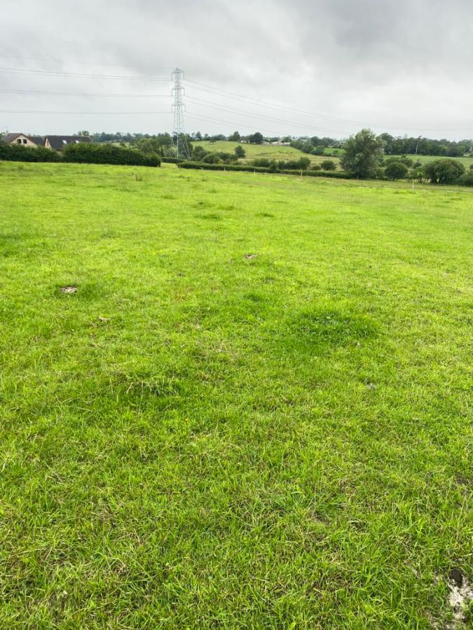 113 Summerisland Road