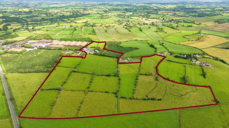 113 Summerisland Road