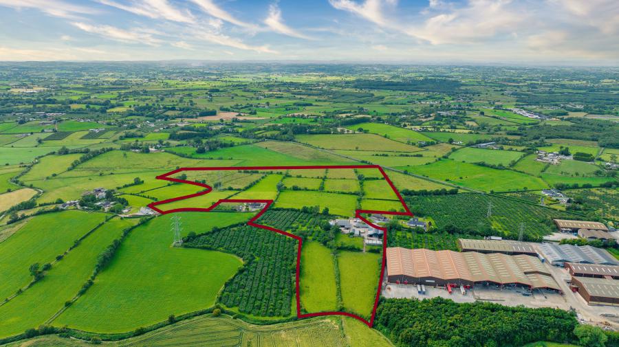 113 Summerisland Road