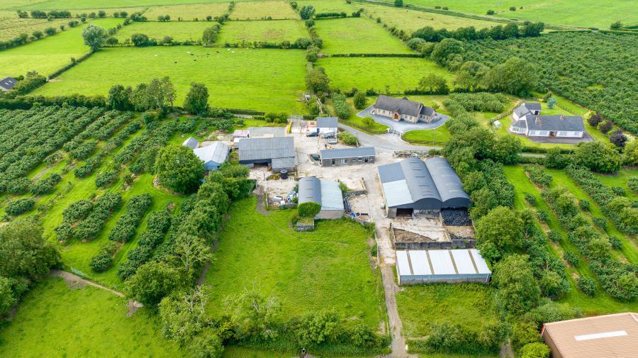 113 Summerisland Road