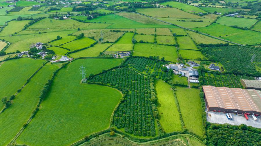 113 Summerisland Road