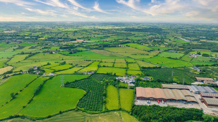 113 Summerisland Road