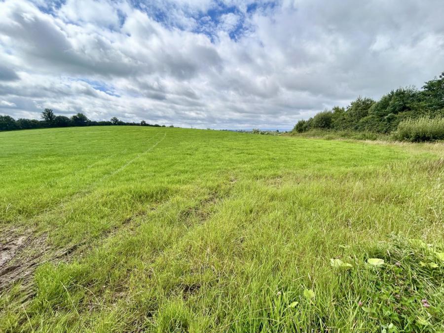 Goland Road