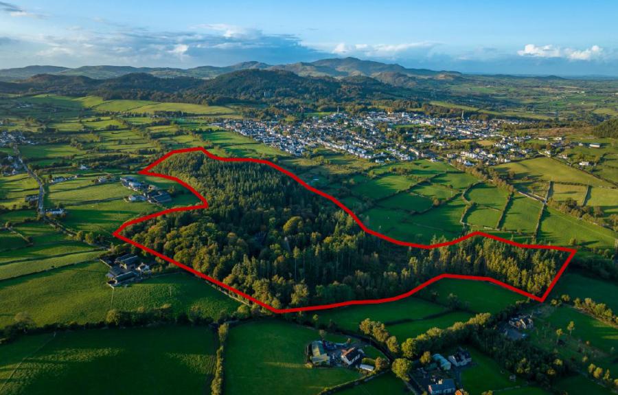 Burrenwood Estate, Burrenbridge Road