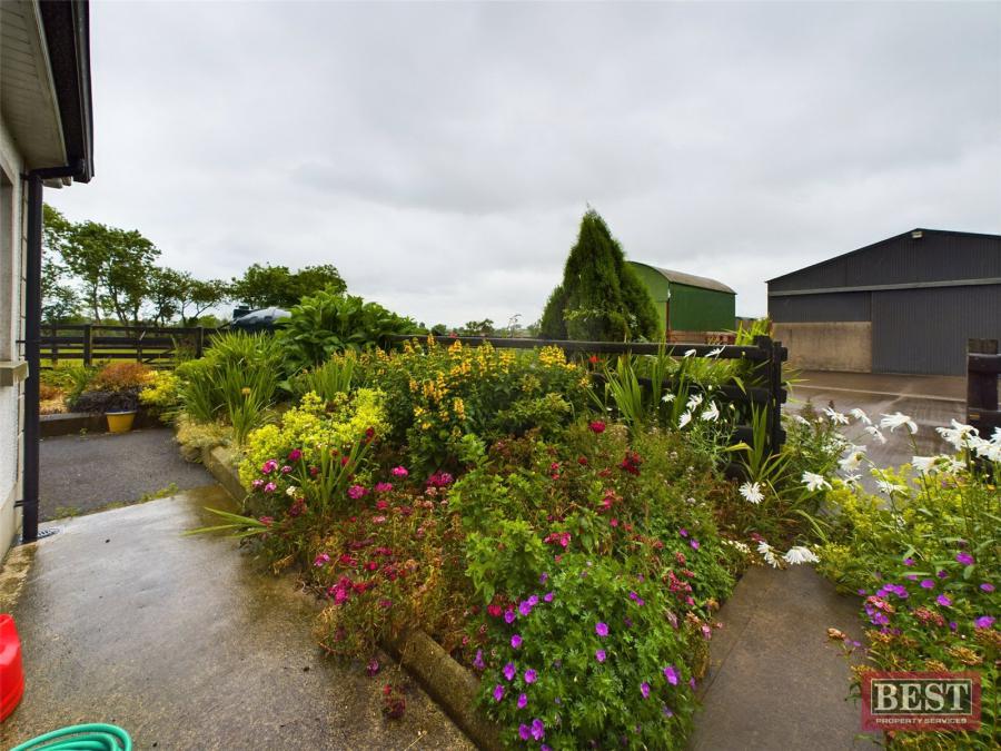 56 Cormeen Road