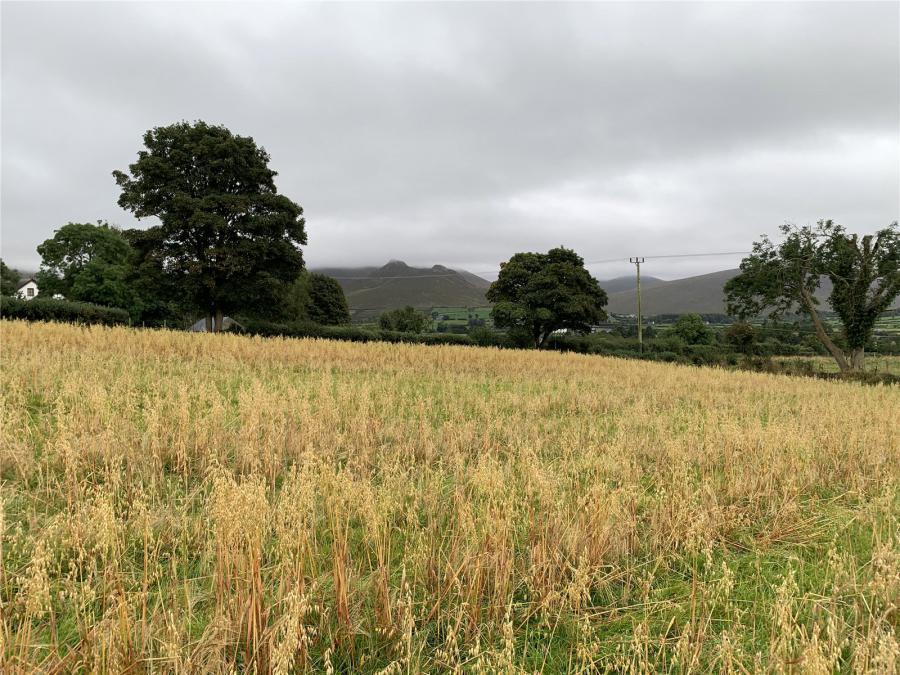 Kilkeel Road