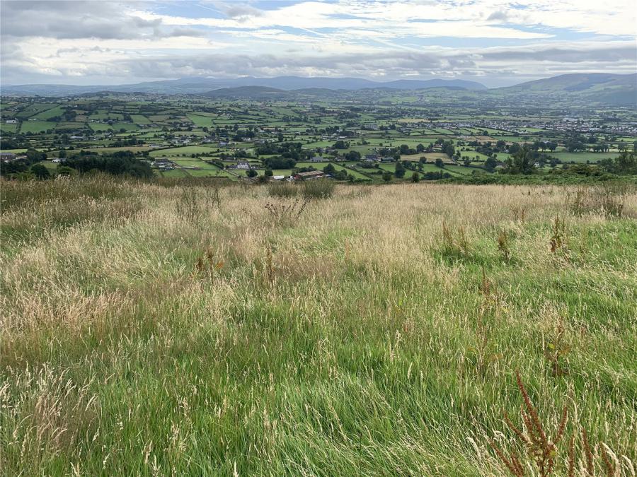 Ballintemple Road, Killeavy, Newry, BT35 8LQ