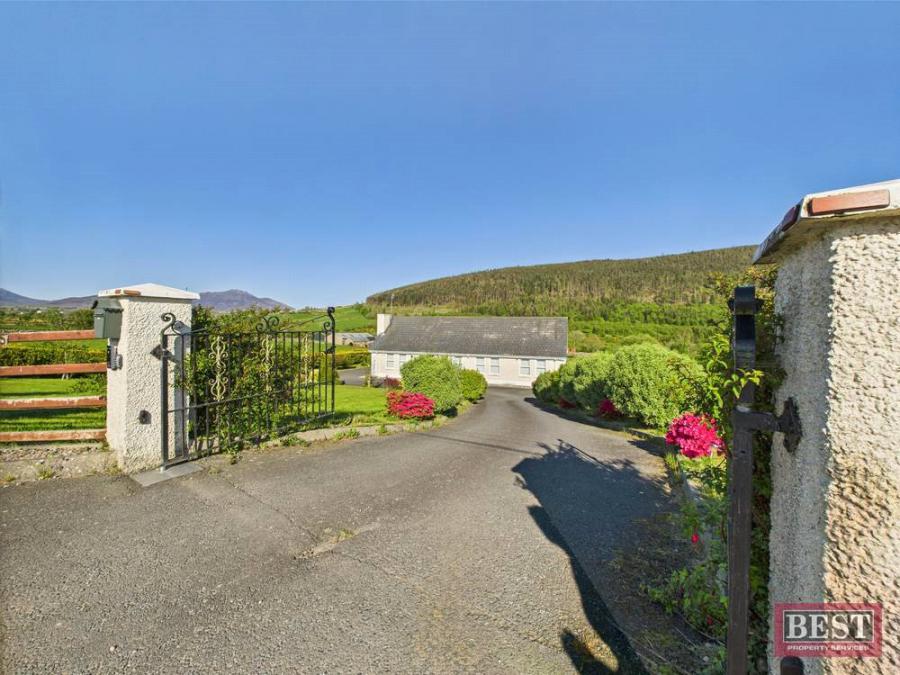 85 Tullyframe Road
