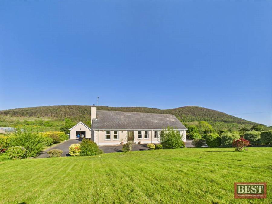 85 Tullyframe Road