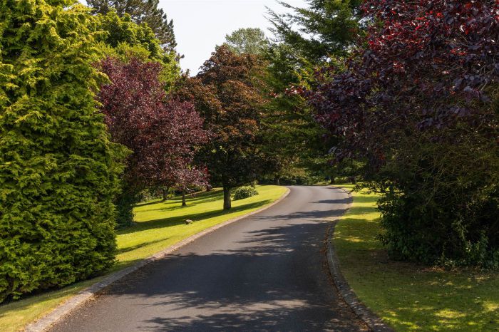 Denvieste, 73 Craigdarragh Road