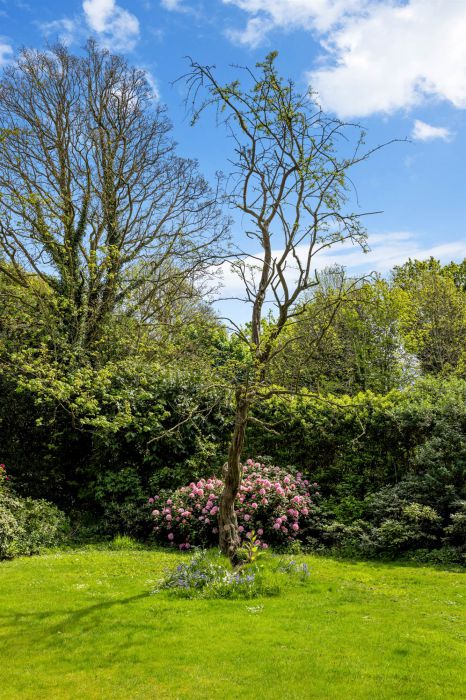 Lenaghmore, 4 Circular Road West