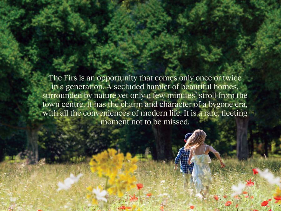 Site 14, The Wilson, The Firs