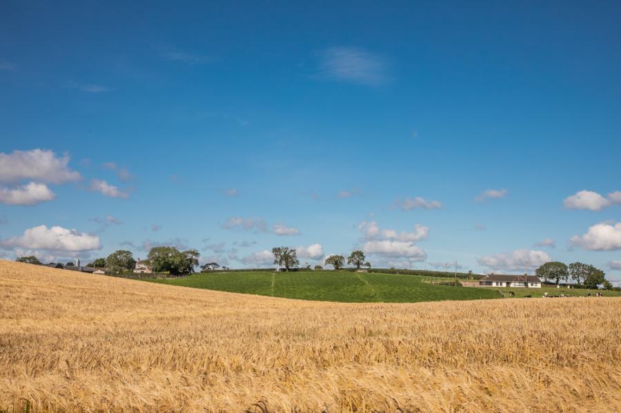Church View, 543 Belfast Road