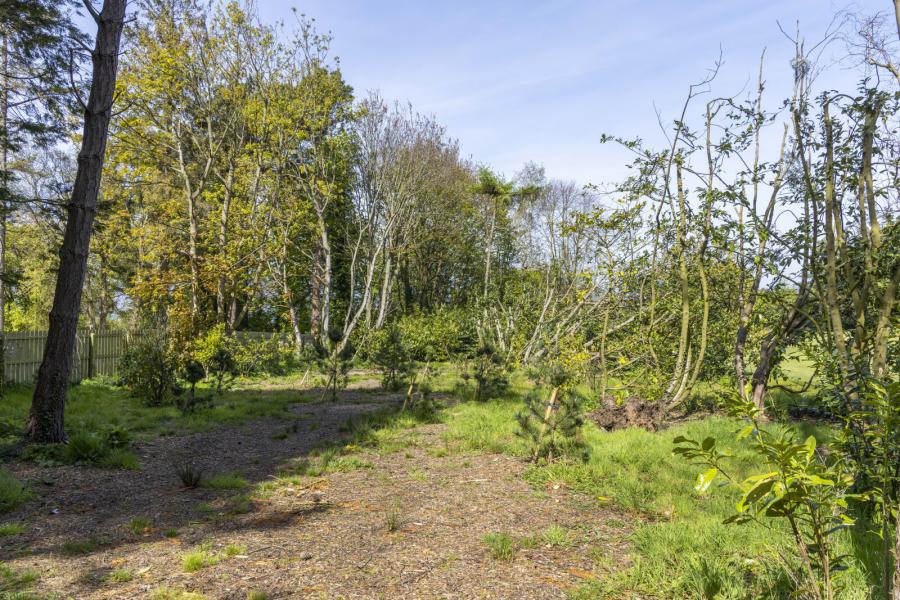 Killymard, 17 Circular Road East