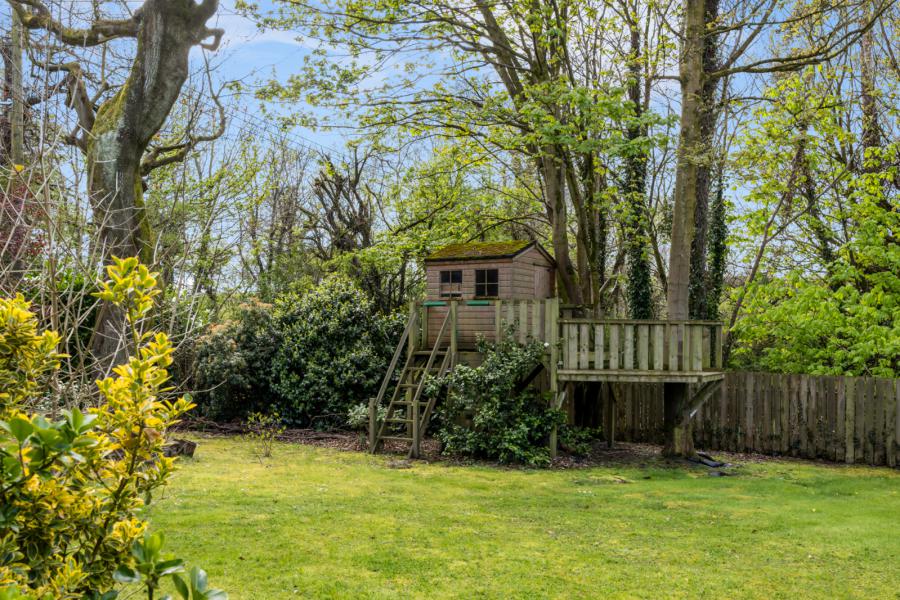 1 Crawfordsburn Wood