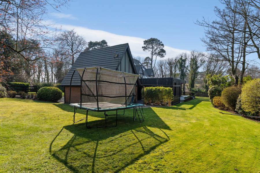 1 Crawfordsburn Wood