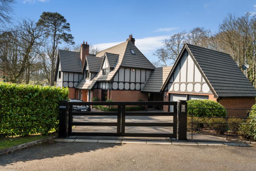 1 Crawfordsburn Wood