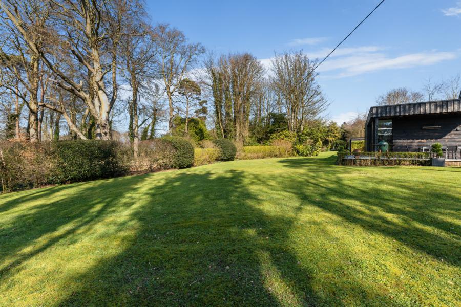 1 Crawfordsburn Wood