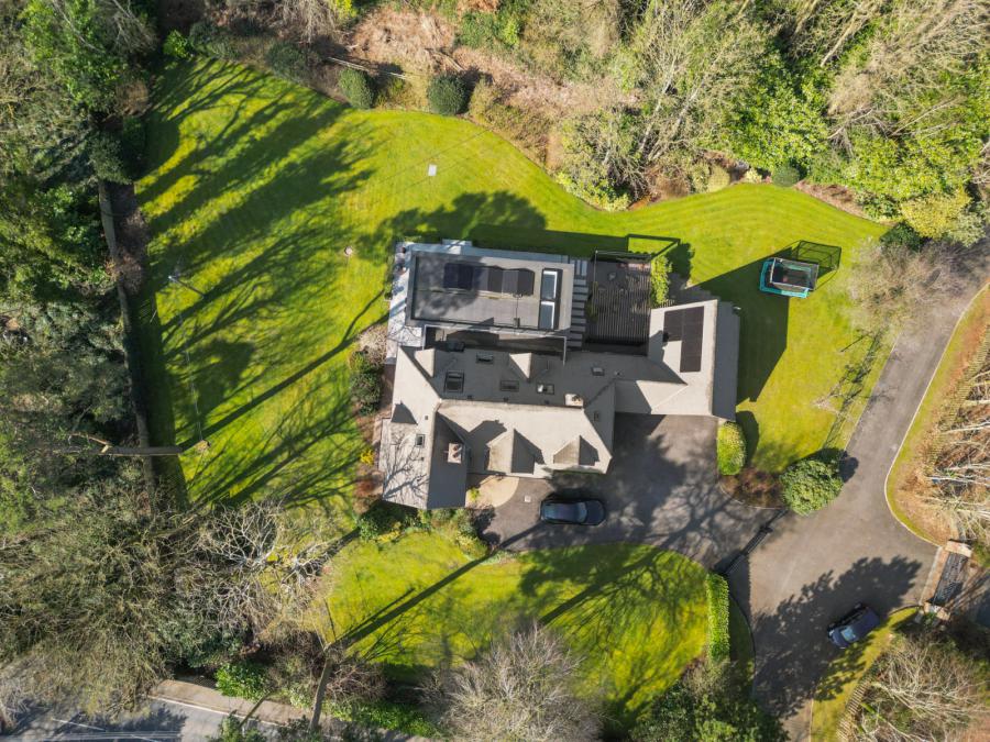 1 Crawfordsburn Wood