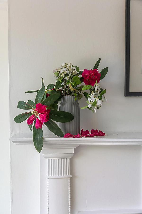 4 Balmoral Gardens