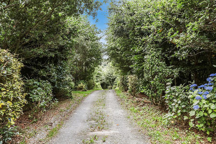 31 Cabra Road