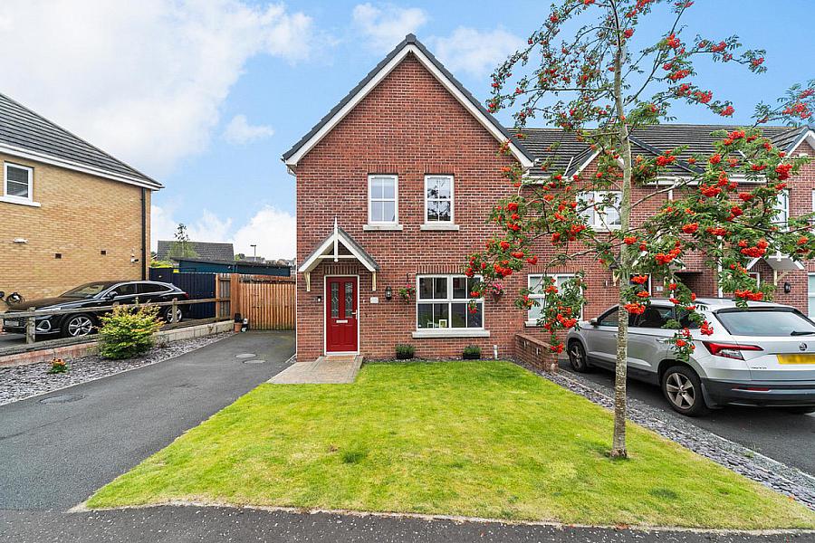 3 Ayrshire Meadows,Lisburn, BT28 2DU