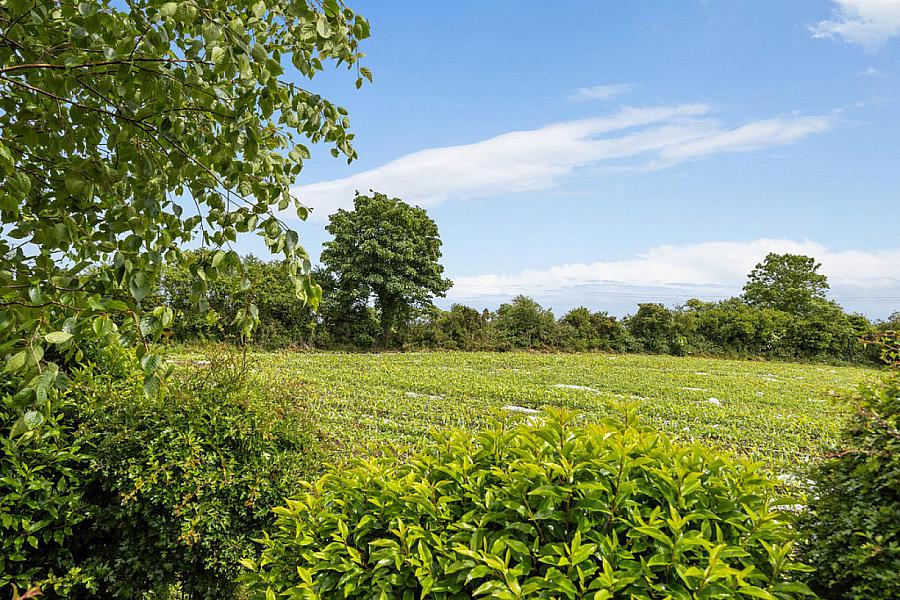 10 Governors Gate Meadow