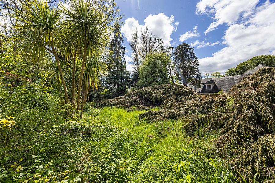 34 Old Manse Road