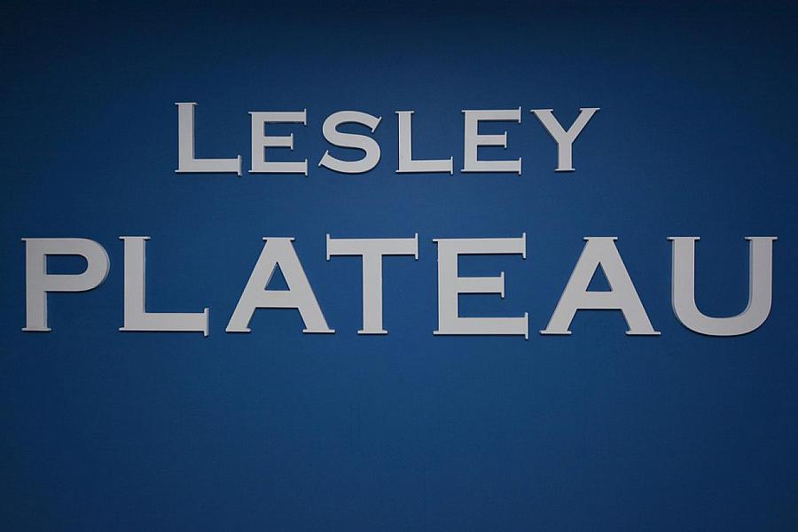 Apt. 9 Lesley Plateau, 29 Bingham Street