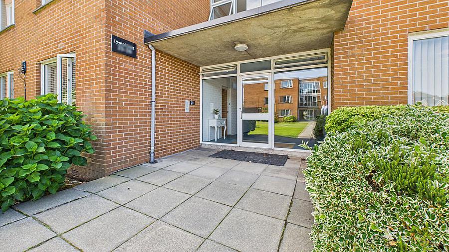 25 Donard Court