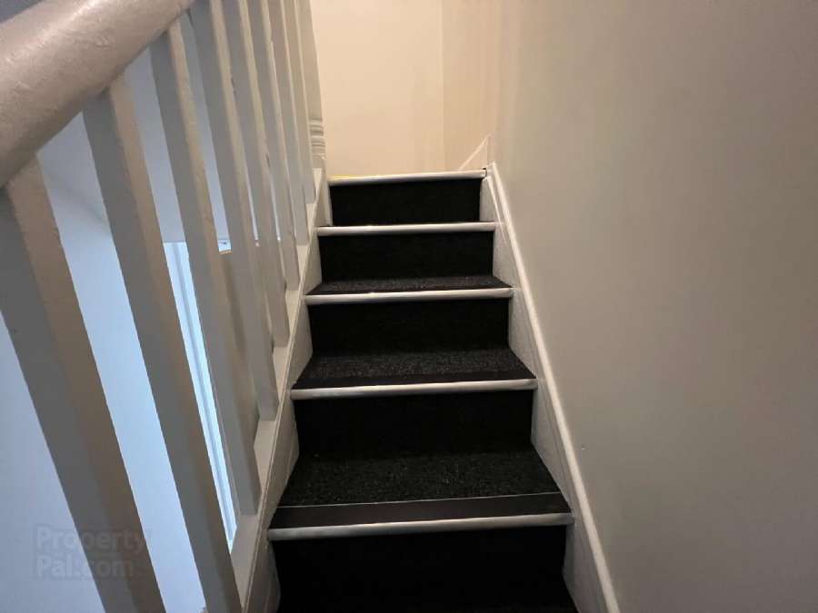 20 Mckees Terrace 20 Mckees Terrace
