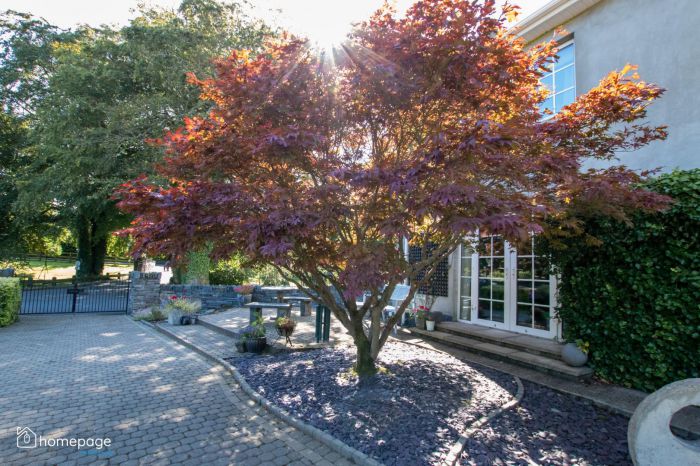 Ballycarton House Seacoast Road