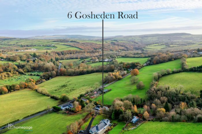 6 Gosheden Road