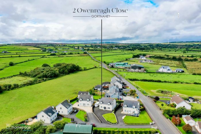 2 Owenreagh Close
