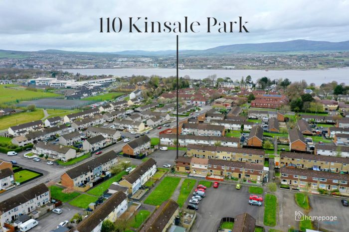 110 Kinsale Park