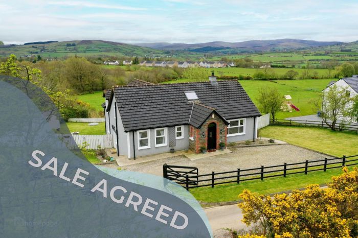 19 Letterlogher Road