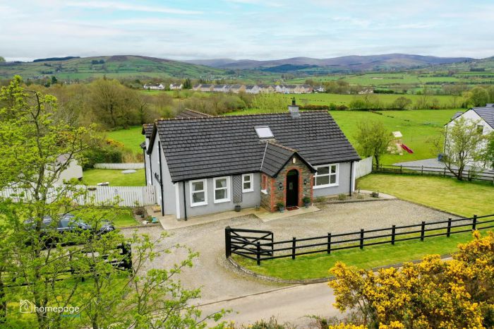 19 Letterlogher Road