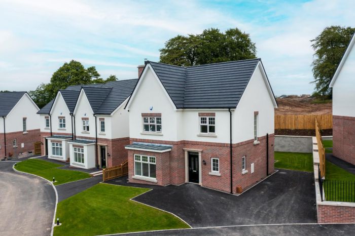 New Development Camowen Avenue, Hospital Road