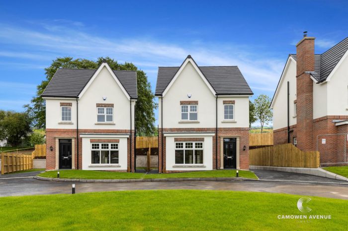 HT F, The Cherish Camowen Avenue