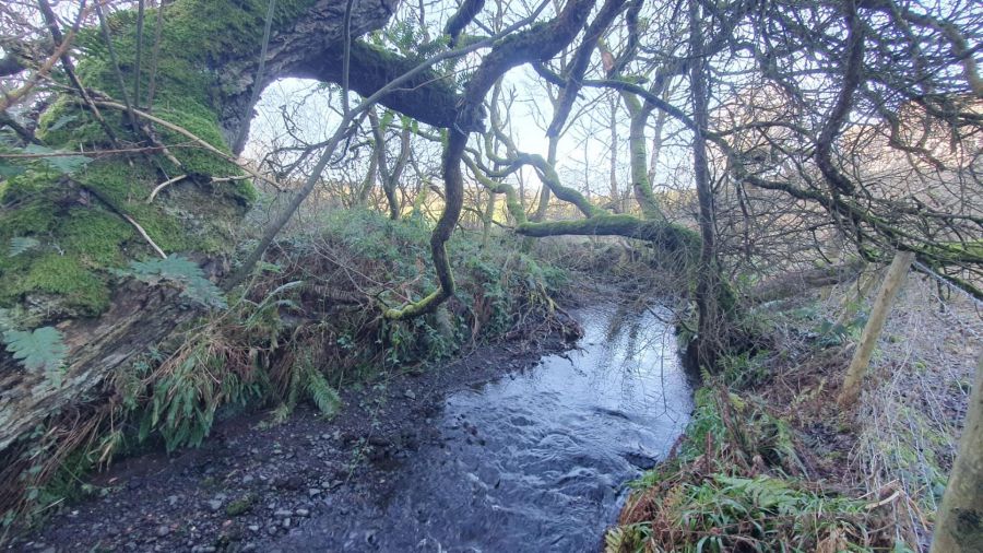 28A Knocknougher Road