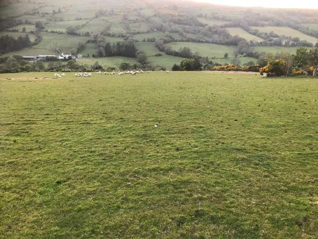 'Laney', Tromra Road,