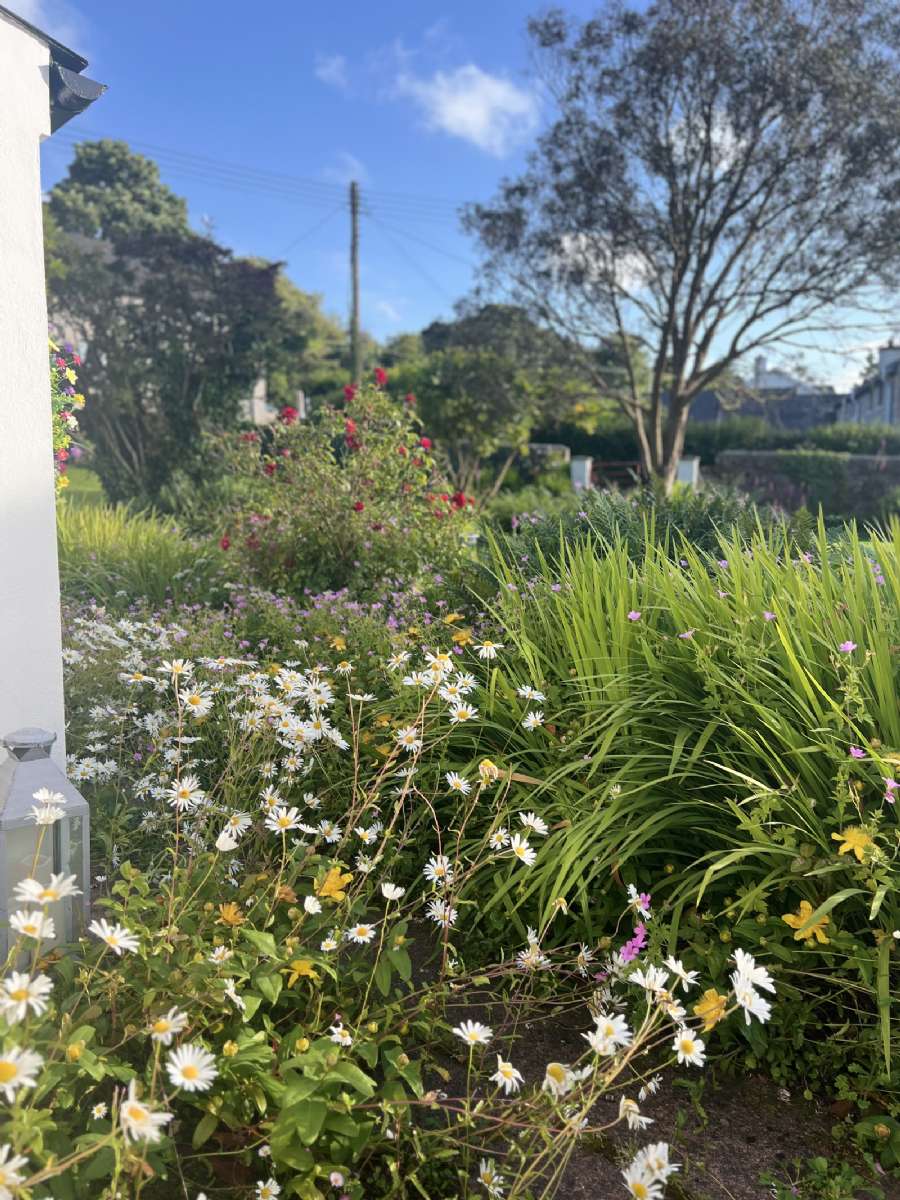 Sheelaghs Cottage, 6-8 Strand View Park