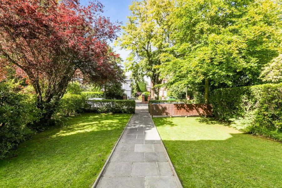3, 41 Adelaide Park