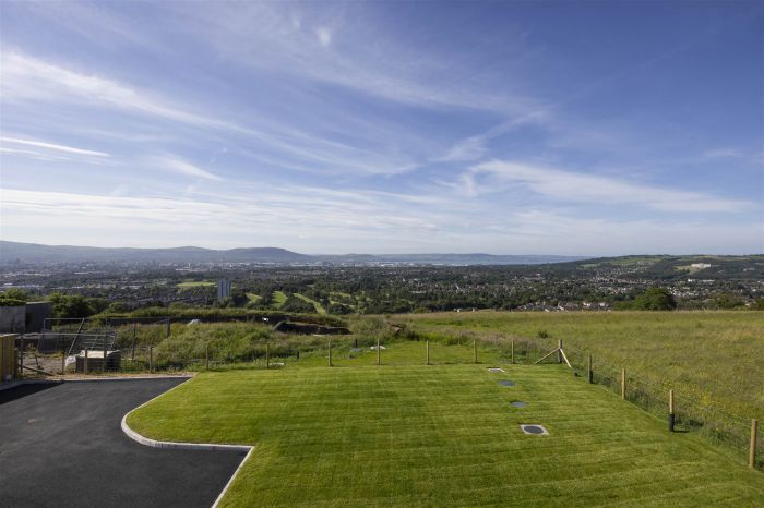 51A Middle Braniel Road