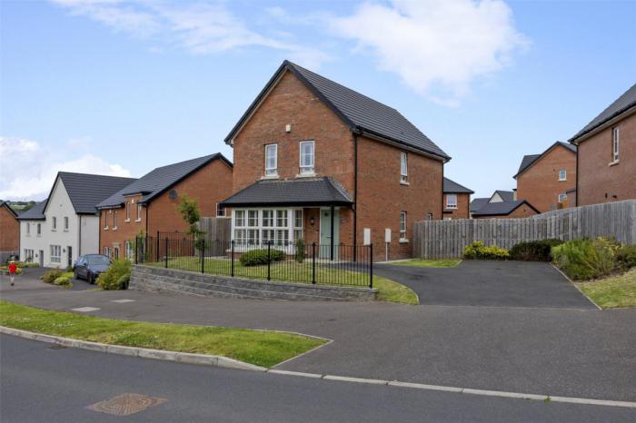 26 Millmount Village Drive, dundonald, belfast, BT16 1AP