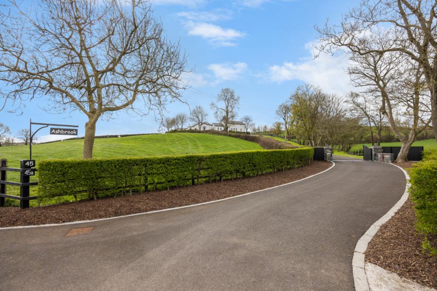 Ashbrook, 45 New Line