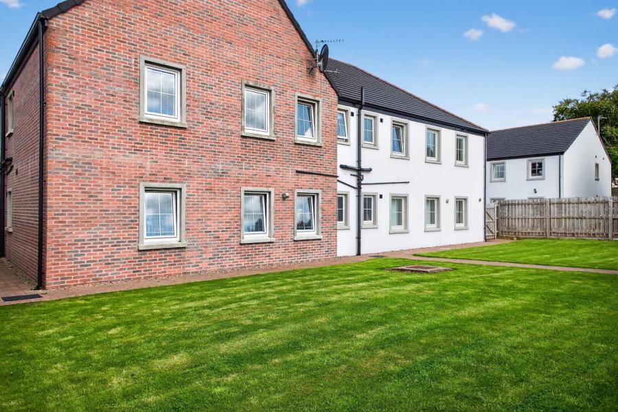 2, 10 Springfields