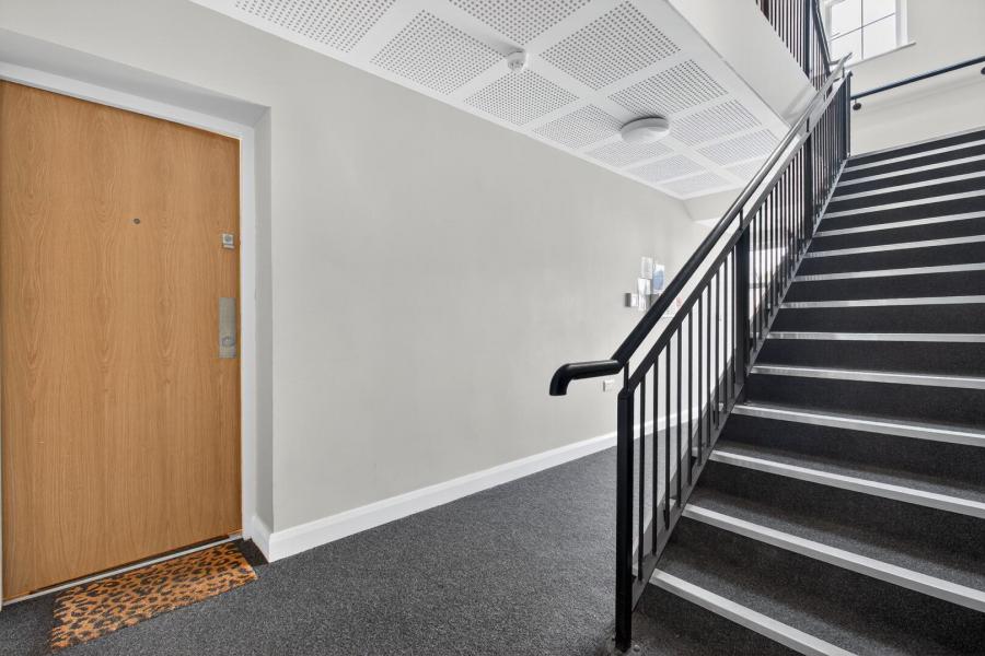 2, 10 Springfields