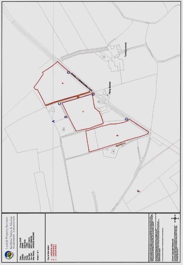 Land At 54 Ballymaconnelly Road